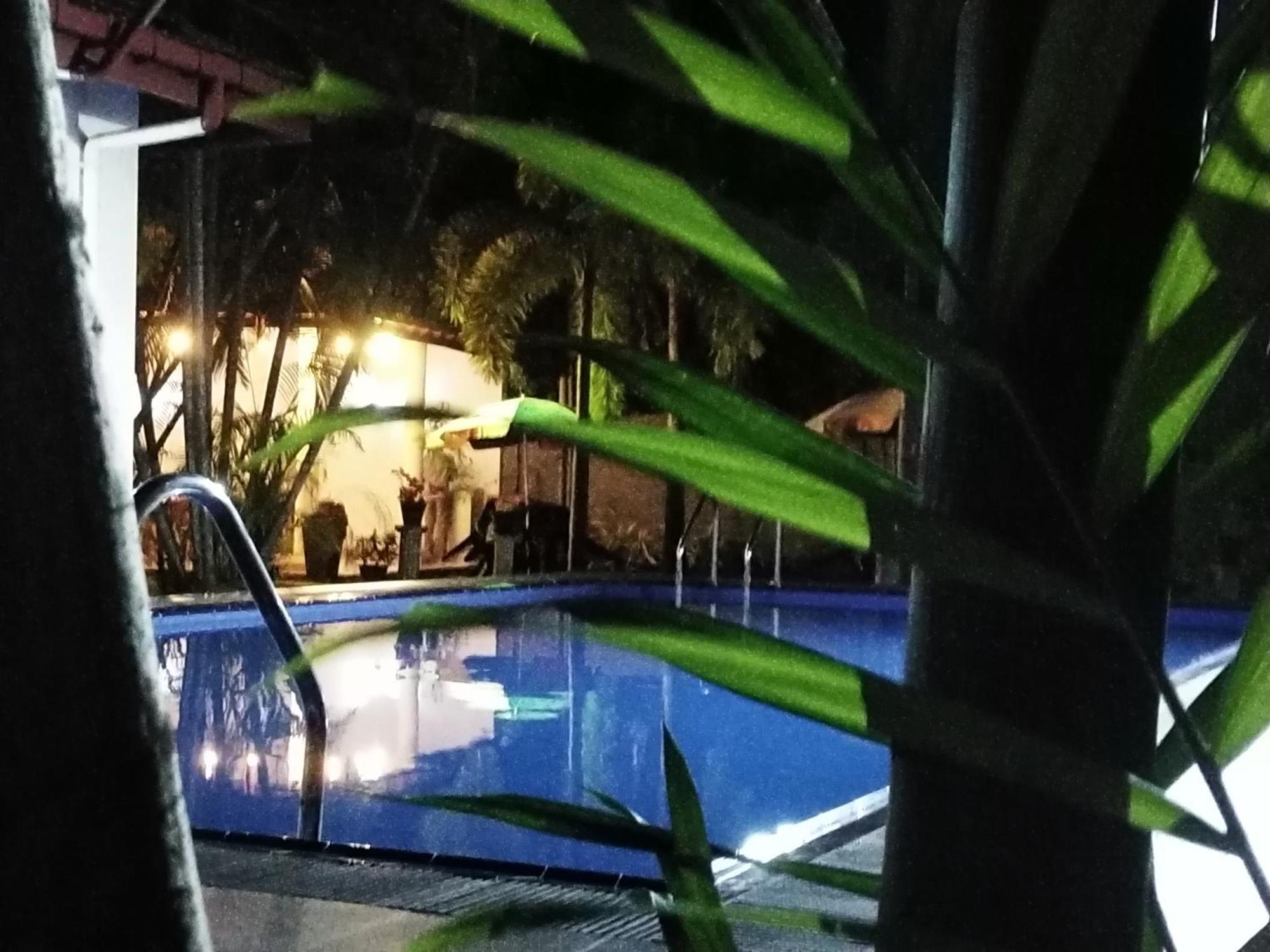 Blue Bell Hotel Negombo Exterior foto