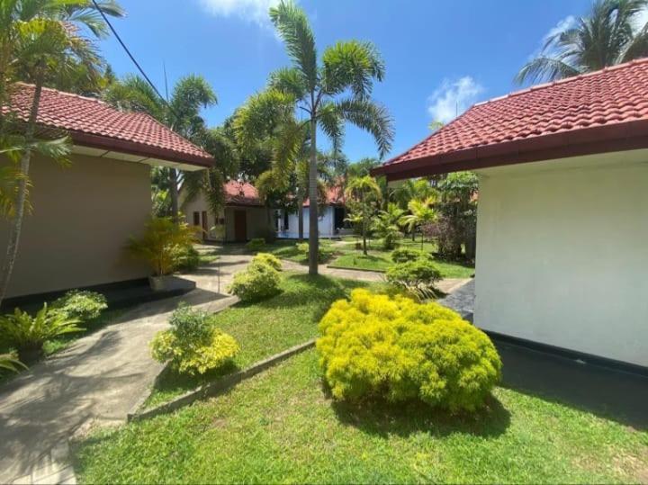 Blue Bell Hotel Negombo Exterior foto